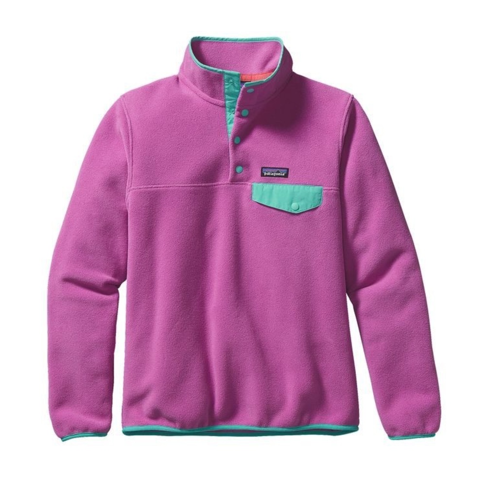 Patagonia Lightweight Synchilla Snap-T Fleece